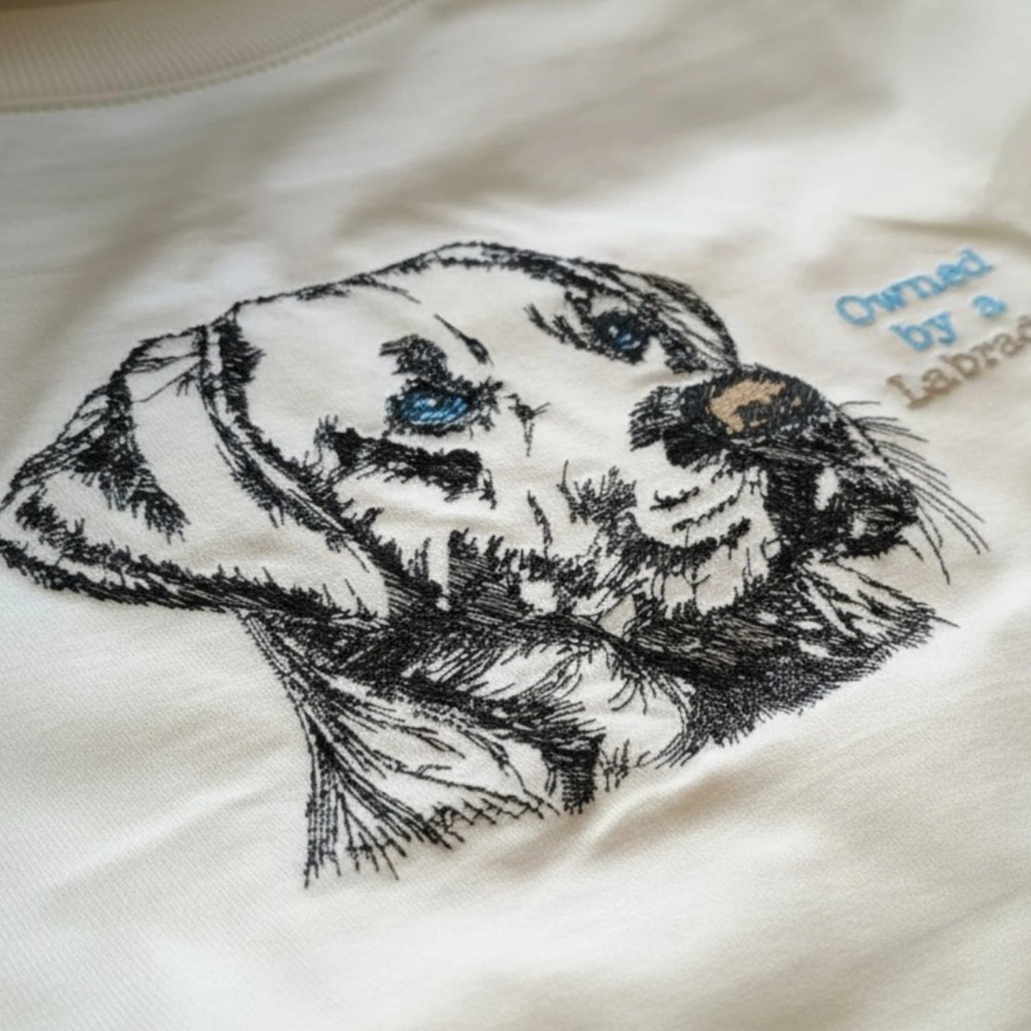 Owned by a Labrador